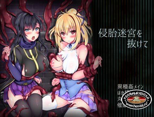 Exiting the labyrinth (2015/PC/Japan) Exiting the labyrinth (2015/PC/Japan)