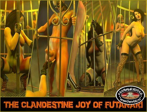 The Clandestine Joy of Futanari