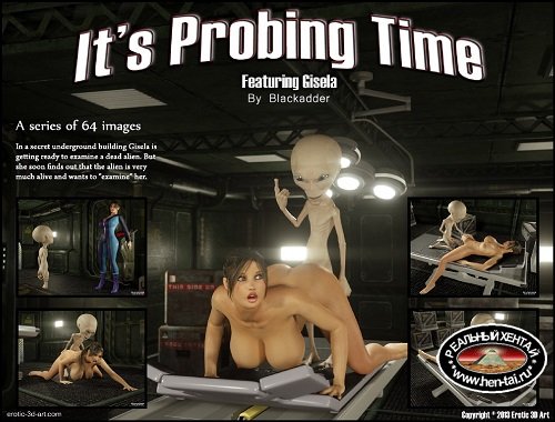Probing Time