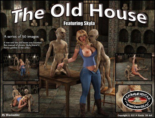 The Old House