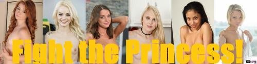 Fight the Princess [  v.1.0 ] (2020/PC/ENG)