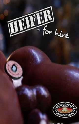 Heifer Hire