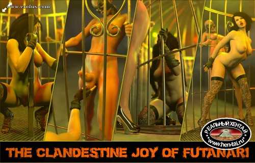 The clandestino joy of futanari